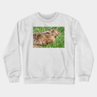 Brown Hare sat in the Grass Crewneck Sweatshirt